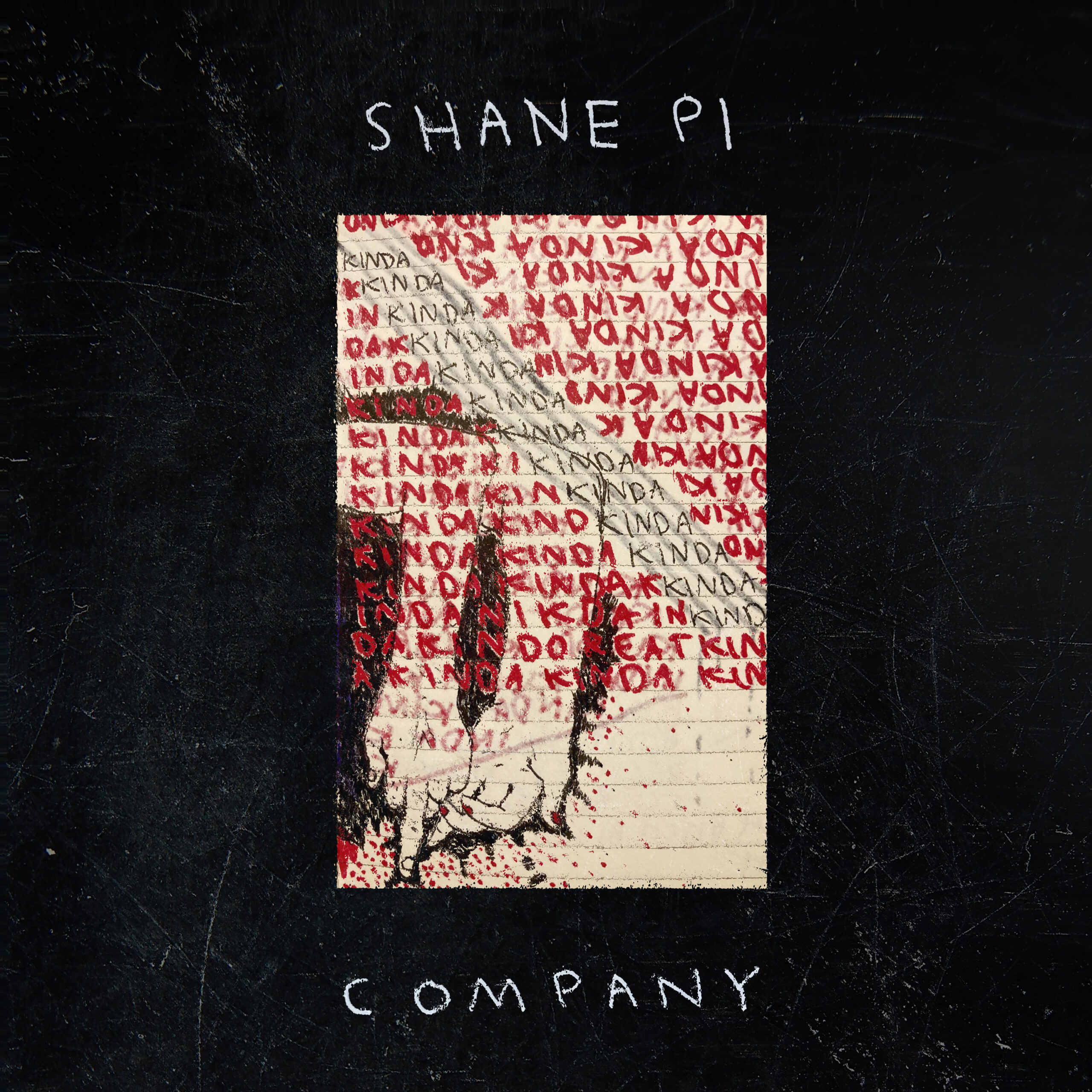 Shane Pi